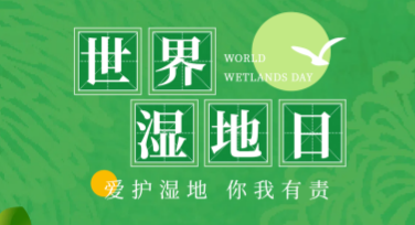 湿地保护主题纪念长图设计指南：创意与范式打造