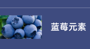 蓝莓元素设计模板推荐，让创作变得简单