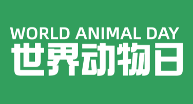 社交平台动物日宣传模板，轻松吸引关注