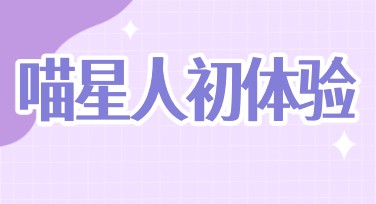 新手养猫知识排版：设计美观实用的秘诀