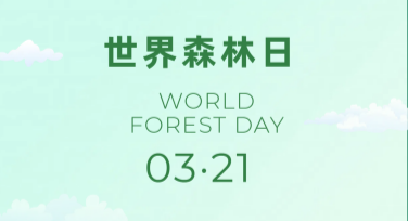 探索世界森林日纪念科普图：打造与自然互动的视觉盛宴