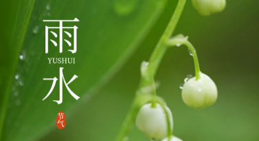 雨水节气海报设计模板，助你快速创作出色作品
