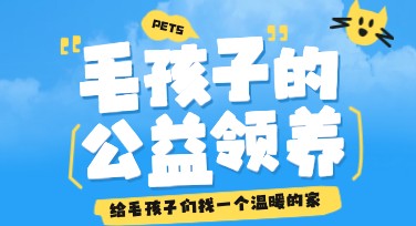 宠物公益领养海报创作技巧及热门风格推荐