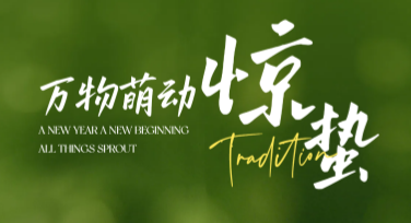 惊蛰节气海报怎么设计？看看这些精彩创意
