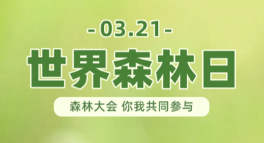 世界森林日创意海报模板推荐，让你的设计更吸睛