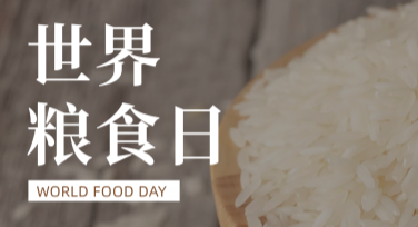 世界粮食日公益广告图创作，让你的设计更具个性与意义