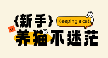 新手养猫攻略小红书首图怎么设计更吸引人？