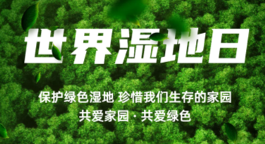 世界湿地日湿地保护卡片：设计你的专属自然守护者