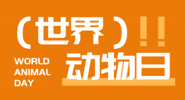 打造生动有趣的世界动物日科普海报，这里有你需要的创意灵感