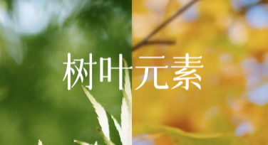 树叶元素的设计灵感从哪来？一文带你解锁创意要点
