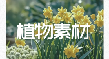 植物素材设计灵感库，这里帮你快速找到好看的模板