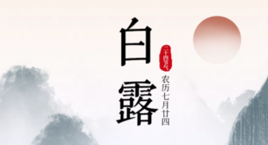白露节气海报设计，高质量模板随心选