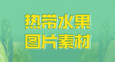 热带水果图片素材，解锁多种风格设计灵感！