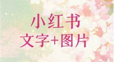 小红书文字+图片首图网站推荐，美图设计室全面解读