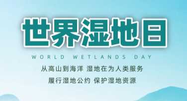 世界湿地日保护生态宣传单，设计从这里开始！