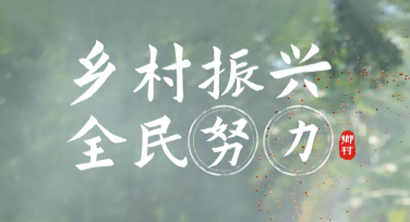 乡村振兴政策宣传海报设计技巧