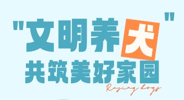 文明养宠宣传海报模板设计，让宣传更有吸引力