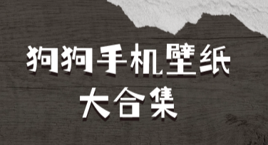 狗狗手机壁纸大合集，超全风格等你来选！