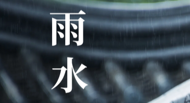 雨水节气海报设计网站推荐：轻松打造精美节气宣传图