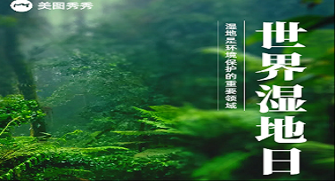 世界湿地日贴墙模板怎么做更有范儿？这些设计风格模板值得收藏！