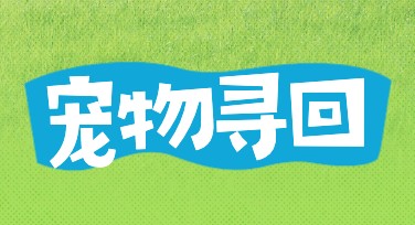 宠物寻回启示设计模板，创意灵感尽在美图设计室