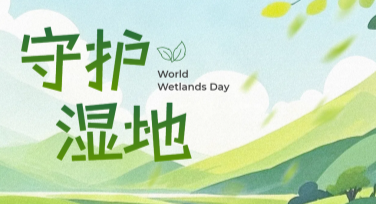 世界湿地日宣传海报设计模板，让你的创意快速成型