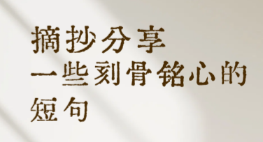 金句摘抄海报在线制作，简单快捷不费力