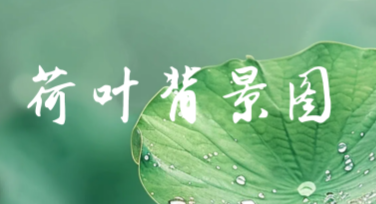 荷叶背景图，让你的设计更有灵感