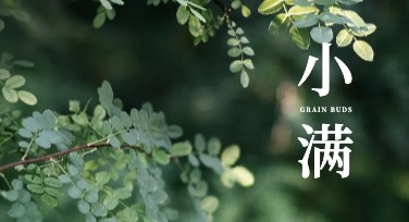 小满创意设计——解锁你的无限灵感