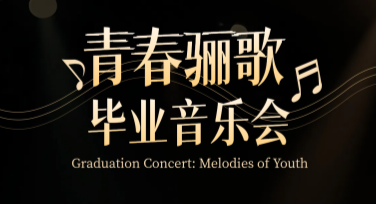 音乐会宣传设计灵感，从创意到视觉的全方位指南