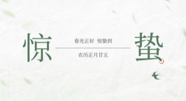 精美惊蛰节气风景插画模板分享，创作灵感必备