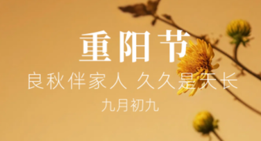 重阳节传统节日卡设计模板，发现你的创意灵感