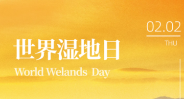 世界湿地日湿地保护卡片设计灵感分享，助力环保宣传