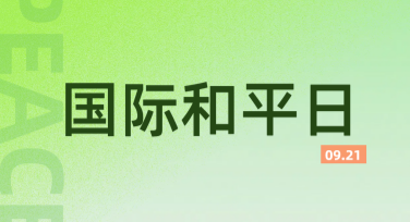 国际和平日国际合作活动海报 - 多风格设计模板攻略
