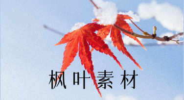 枫叶素材哪里找？超全模板设计推荐，轻松提升作品质感