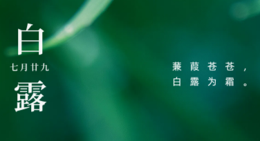 白露节气文案海报设计灵感，提升创意吸引力