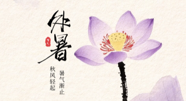 处暑节气海报创作指南：多风格模板设计灵感
