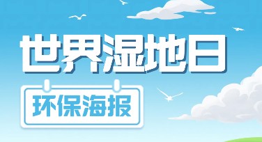 世界湿地日环保海报设计指南，让你的创意更闪亮