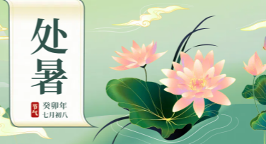 处暑主题海报设计灵感捕捉，创意模板轻松搞定！