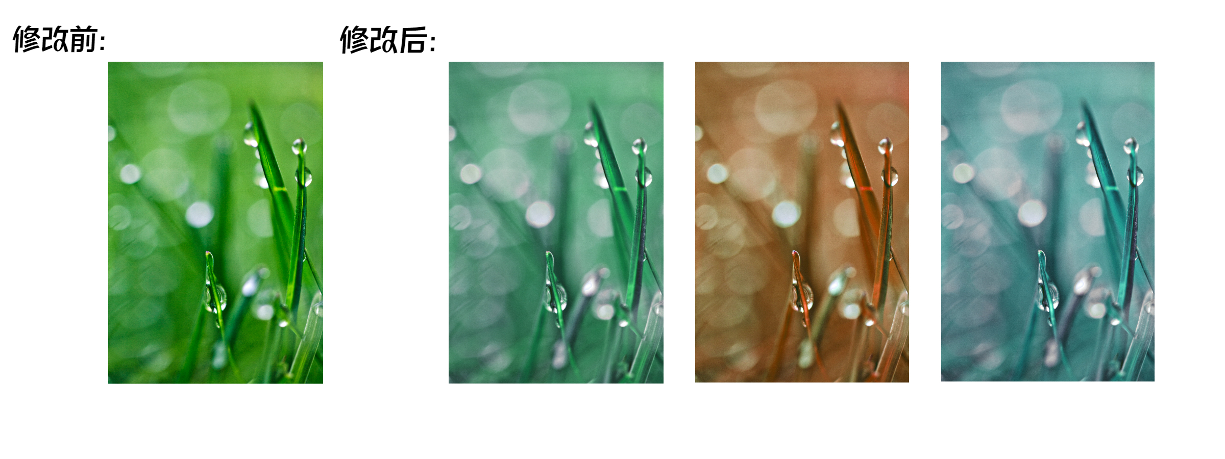 春夏2.jpeg