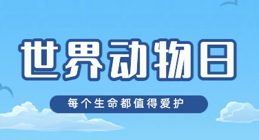 世界动物日创意海报模板，让你的设计脱颖而出