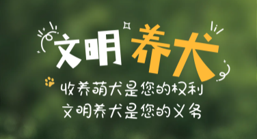 创意文明养犬图文宣传，让设计更简单有趣