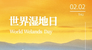 湿地保护宣传不用愁，这些模板让世界湿地日海报更有亮点