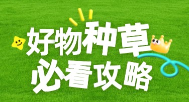 好物安利小红书首图，让你的内容更吸睛！