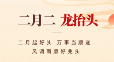 龙抬头节日活动背景：创意设计模板一网打尽
