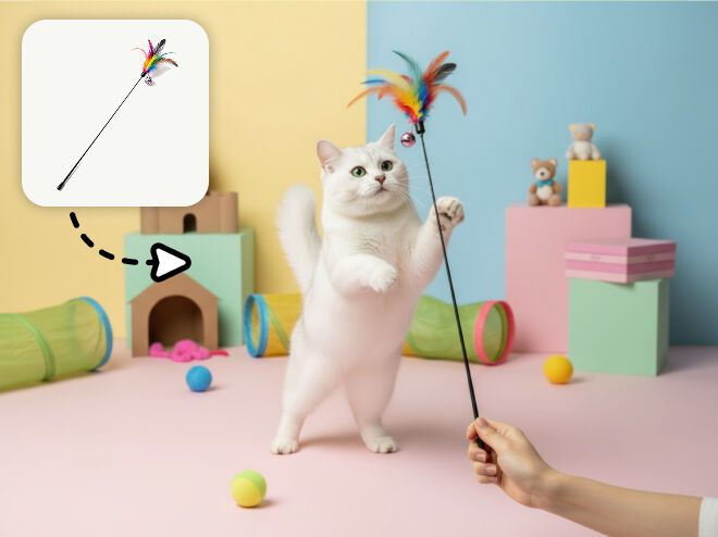 宠物用品场景图