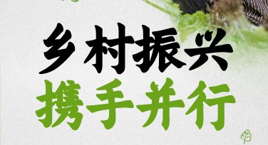 乡村振兴政策宣传模板全面助力宣传创作
