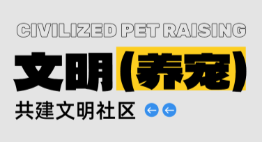 文明养宠宣传海报设计：吸引眼球的全新作图体验