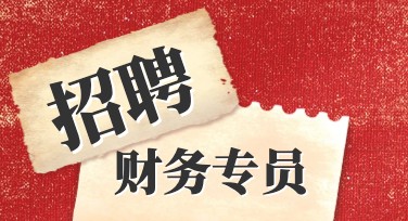 财务岗招聘海报全面设计推荐