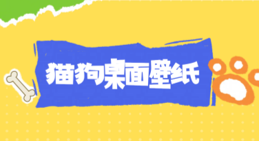 猫狗桌面壁纸全攻略，用美图设计室开启你的桌面灵感